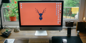 website design