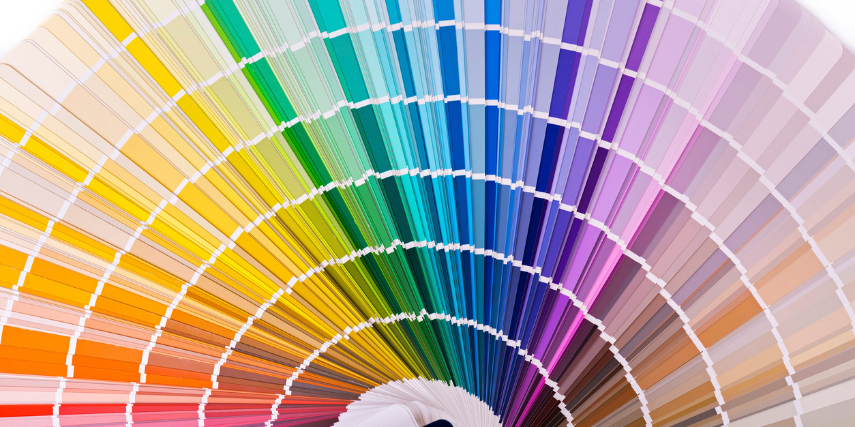 Your color scheme for your logo and design say a lot about your brand and about you.