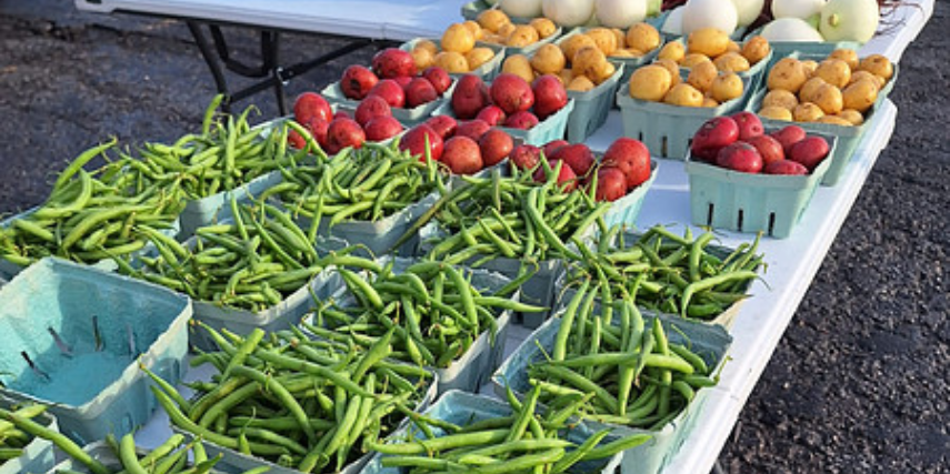 Rows of fresh green beans, potatoes and onions displayed on a table at a farmer's market.