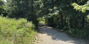 View of a shaded packed gravel trail within St. Joseph's extensive trail systems.