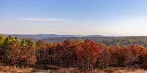 Beautiful view of rolling hills and colorful trees from the peak of Taum Sauk Mountain.