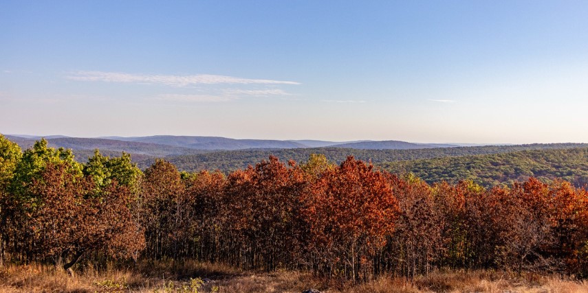 Beautiful view of rolling hills and colorful trees from the peak of Taum Sauk Mountain.