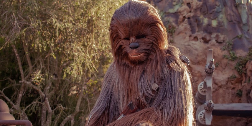 The Star Wars character Chewbacca in front of a natural landscape. 