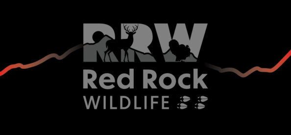 Red Rock Wildlife Case Study