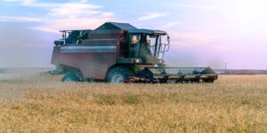 A combine harvests grain against a multi-colored harvest season sky.