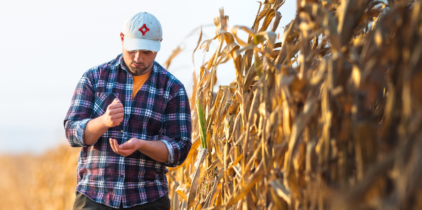 A man in a flannel shirt and a hat with an SJC logo examines yield from a field he is walking alongside.